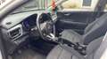 Kia Rio IV 1.2 i-CVVT 84 Motion Blanc - thumbnail 8