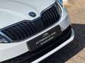 Skoda Octavia 1.0 TSI Greentech Business 2019 AUT NAVI NAP! Wit - thumbnail 19