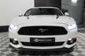 Ford Mustang FASTBACK 5.0 V8 421CH Black Shadow Edition Faible Kms Weiß - thumbnail 19