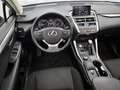 Lexus NX 300h AWD Sport Edition | Trekhaak | Stoelverwarming | Grau - thumbnail 40
