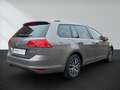 Volkswagen Golf Variant 1.4 TSI BlueMotion Technology DSG Allstar Grau - thumbnail 6
