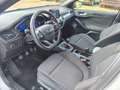Ford Focus 1.0 EcoBoost Hybrid 155 CV 5p. ST-Line X Bianco - thumbnail 14