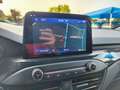 Ford Focus 1.0 EcoBoost Hybrid 155 CV 5p. ST-Line X Bianco - thumbnail 13