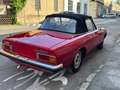 Alfa Romeo Spider Spider Duetto II Coda Tronca 2.0 Veloce 128cv Rosso - thumbnail 6