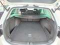 Volkswagen Passat Variant PASSAT 2.0 TDI BUSINESS 150CV DSG AUTO 2020 Bianco - thumbnail 15