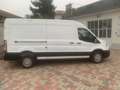 Ford E-Transit 350 L3H2 TREND 2.0 ECO MHEV 170 CV ECOBLUE HYBRID Bianco - thumbnail 4