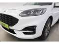 Ford Kuga 2.5Duratec Aut.ST-Line X+LED+NAVI+VIRTUAL Bianco - thumbnail 23
