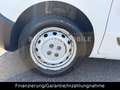 Fiat Fiorino Basis Kasten *AHK*Schbt.*MwSt.* Wit - thumbnail 15