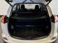 Toyota RAV 4 RAV4 2.5 Edition Hybrid Kam.+LED+Navi+PDC Blanco - thumbnail 19
