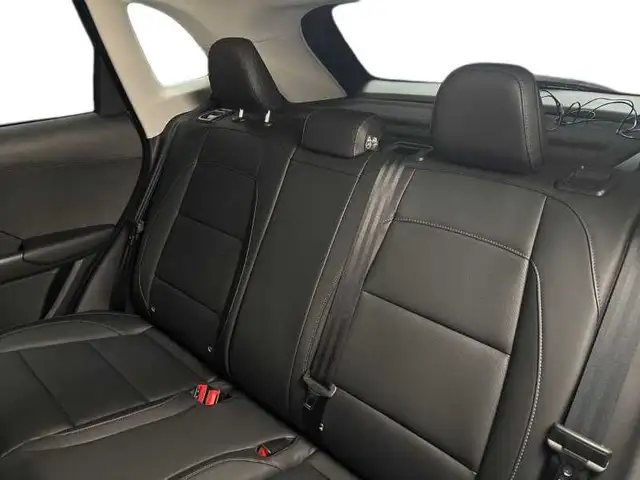 MG ZS view 9