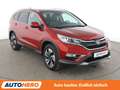 Honda CR-V 1.6 DTEC Executive 4WD Aut.*NAVI*CAM*BiXENON*SHZ* Rot - thumbnail 8