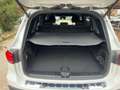 Mercedes-Benz EQB 250 EQB 250+ AMG Line Advanced Plus IVA COMPRESA LIST Blanc - thumbnail 28