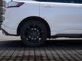 Ford Edge Sport 4x4 Weiß - thumbnail 11