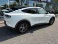 Ford Mustang Mach-E Extended RWD 98 kWh | Trekhaak | Blanc - thumbnail 7