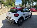 Citroen C3 Shine Weiß - thumbnail 7