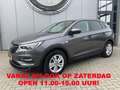 Opel Grandland X 1.2 Turbo Online Edition Leer | Trekhaak | Apple C Grijs - thumbnail 1