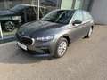 Skoda Scala Selection TSI DSG Grau - thumbnail 1