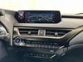Lexus UX 300e Privilege Line siva - thumbnail 21