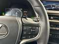 Lexus UX 300e Privilege Line Gri - thumbnail 25