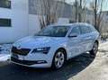 Skoda Superb Combi Style 1.9TDI 150PS Weiß - thumbnail 1