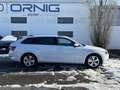 Skoda Superb Combi Style 2.0 TDI 150PS Weiß - thumbnail 6