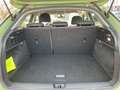 Audi Q2 35 TDI S-TR ADVANCED LED+PDC+GRA+SHZ+MFL+19" Grün - thumbnail 14