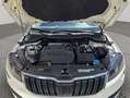 Skoda Karoq 2.0TDI AdBlue Ambition 4x4 DSG 110kW Blanco - thumbnail 22