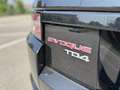 Land Rover Range Rover Evoque 5p 2.2 td4 Dynamic 150cv auto 9m - thumbnail 10