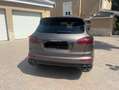 Porsche Cayenne S E-Hybrid Bronce - thumbnail 18