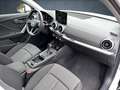 Audi Q2 Advanced 35 TFSI S tr AHK/Matrix/Nav/19"/soun Weiß - thumbnail 14