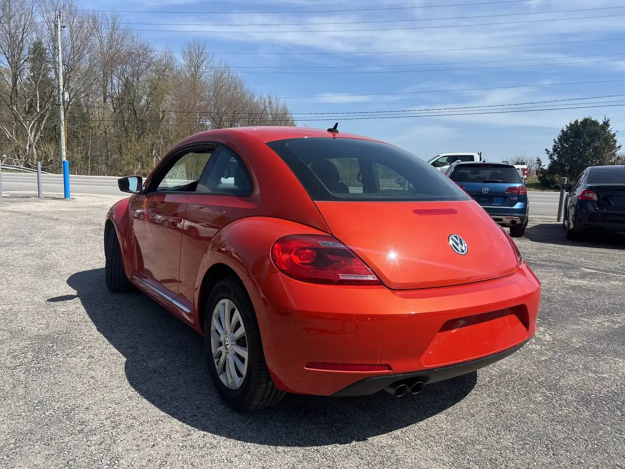 Volkswagen Beetle снимка Volkswagen Beetle