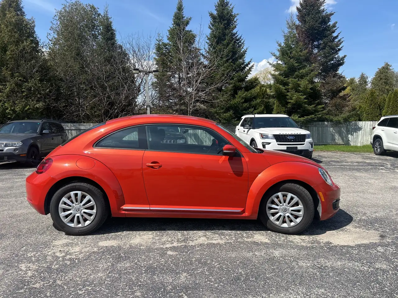 Volkswagen Beetle снимка Volkswagen Beetle