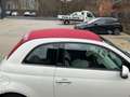 Fiat 500 500 Cabrio Lounge*40 TKM* Topzustand* Blanc - thumbnail 6