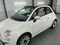 Fiat 500 500 Cabrio Lounge*40 TKM* Topzustand* Blanc - thumbnail 7