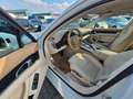 Porsche Panamera 4 Platinum Edition Leder Kamera TOP Weiß - thumbnail 12