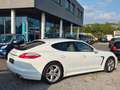 Porsche Panamera 4 Platinum Edition Leder Kamera TOP Weiß - thumbnail 11