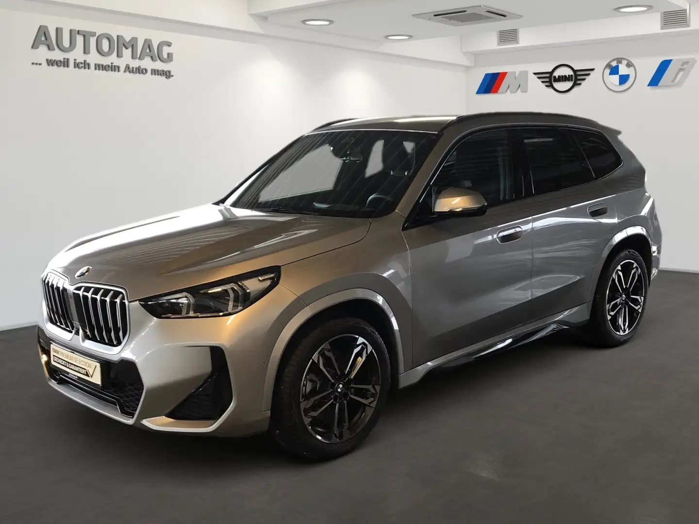 BMW X1 sDrive20i M-Sport*360°*DriveAssistPlus*Head-Up*Fon Argento - 1