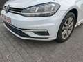 Volkswagen Golf Variant Golf Variant 1.0 TSI OPF Comfortline Wit - thumbnail 14