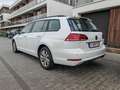 Volkswagen Golf Variant Golf Variant 1.0 TSI OPF Comfortline Wit - thumbnail 3