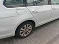 Volkswagen Golf Variant Golf Variant 1.0 TSI OPF Comfortline Wit - thumbnail 13