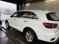 Kia Sorento Vision 2WD Weiß - thumbnail 9