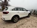 Kia Sorento Vision 2WD Weiß - thumbnail 3