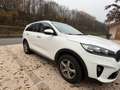 Kia Sorento Vision 2WD Weiß - thumbnail 6