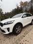Kia Sorento Vision 2WD Weiß - thumbnail 5