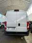 Fiat Ducato 2.3mjt 130cv L3H2 DOPPIA PORTA LATERALE FURGONE Bianco - thumbnail 5