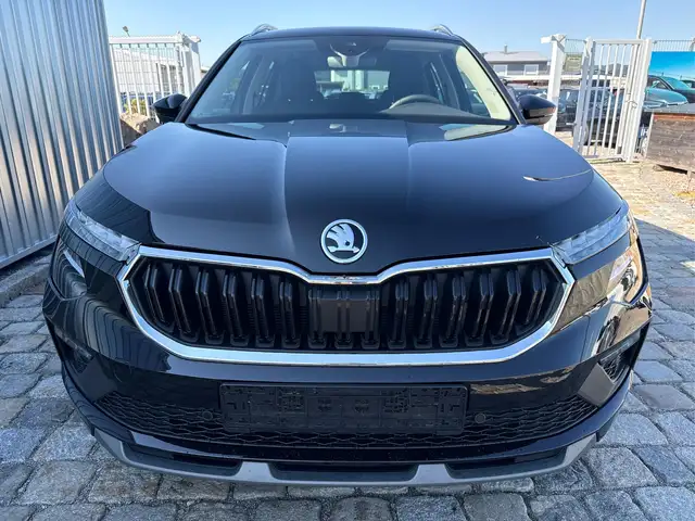 Skoda Kamiq view 2
