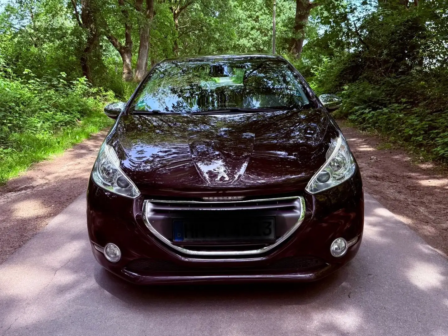 Peugeot 208 208 e-HDi 92 Stop Braun - 2