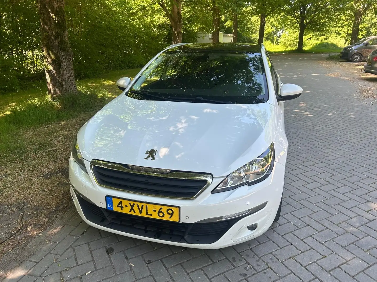 Peugeot 308 308 1.6 BlueHDI B. L. Ex Wit - 1