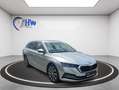 Skoda Octavia 2,0 TDI Style Grau - thumbnail 9