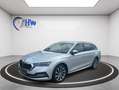 Skoda Octavia 2,0 TDI Style Grau - thumbnail 4